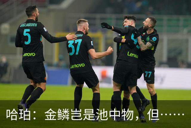 哈珀：金鳞岂是池中物，但……